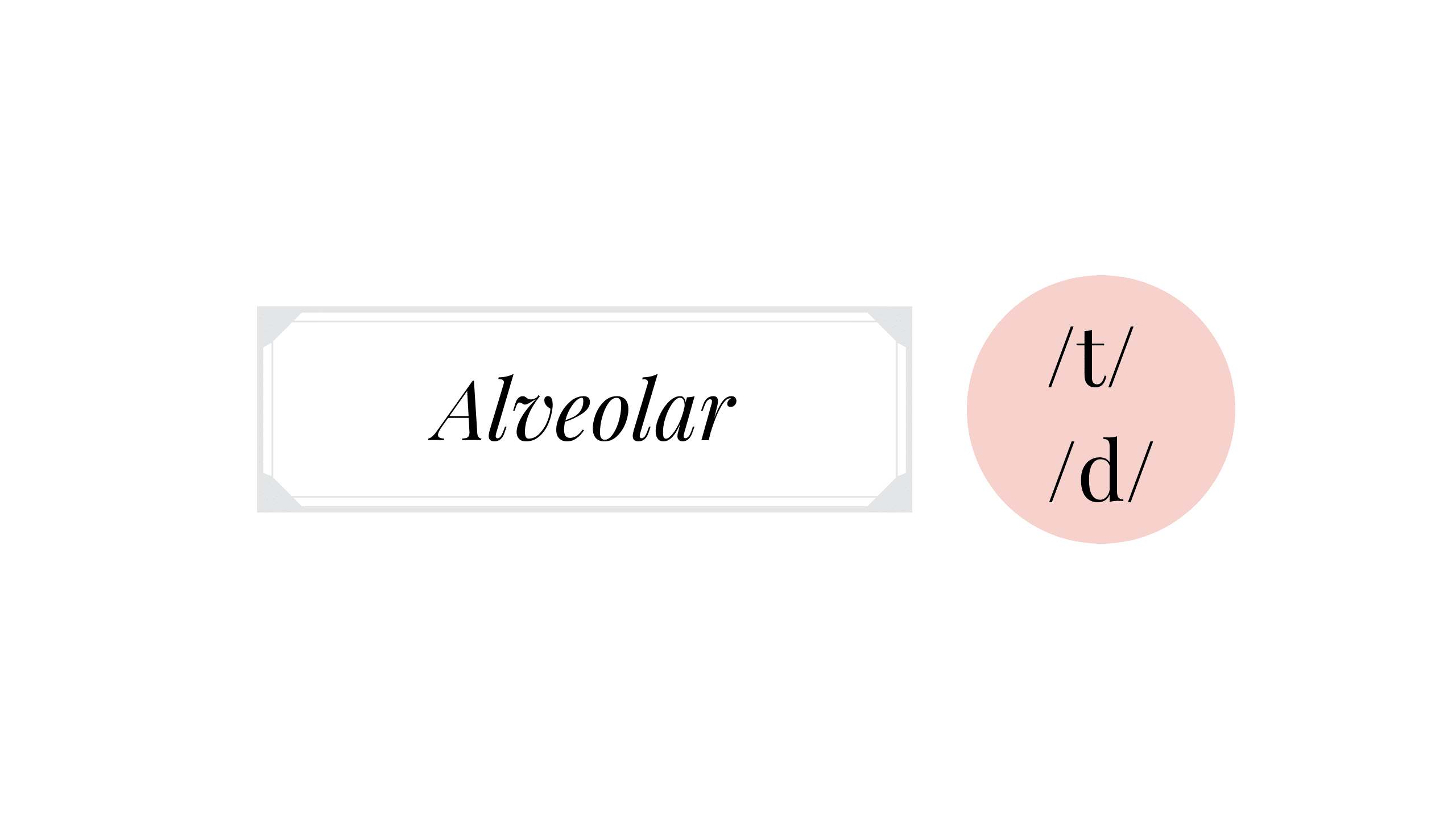 English plosive consonants